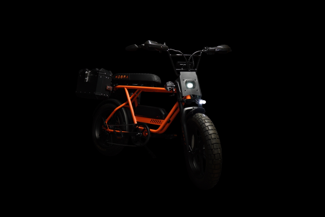 Custom Kobra Fatbike - Desert Fox Dirtbike