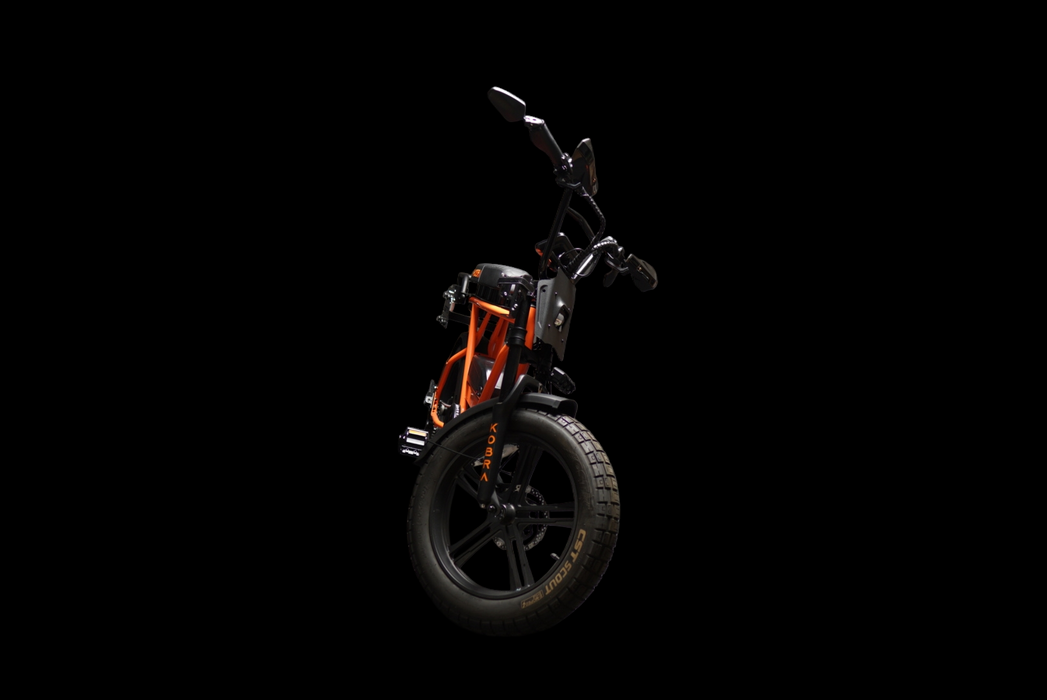 Custom Kobra Fatbike - Desert Fox Dirtbike