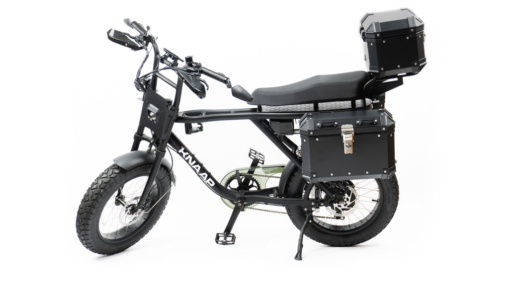 Custom Knaap AMS Fatbike - Desert Fox Adventure