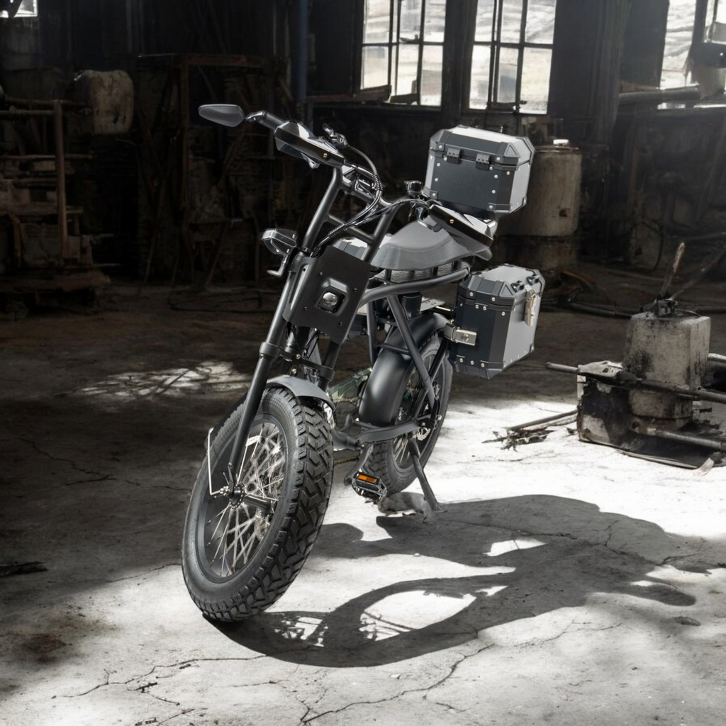 Custom Knaap AMS Fatbike - Desert Fox Adventure