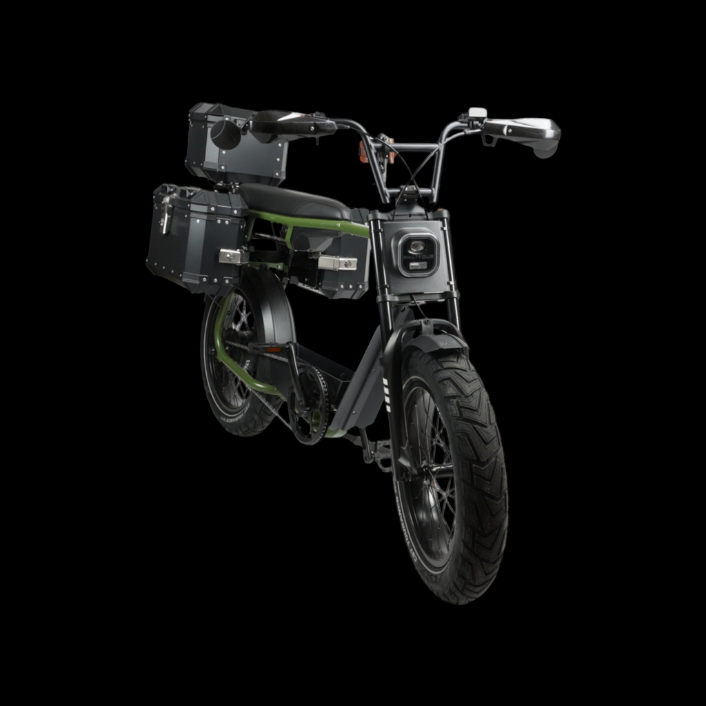 Custom Phatfour FLX Fatbike - Desert Fox Adventure bike