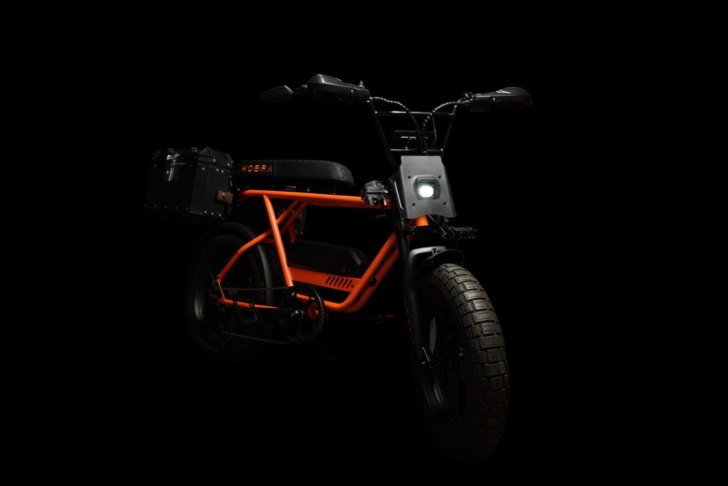 Custom Kobra Fatbike - Desert Fox Dirtbike